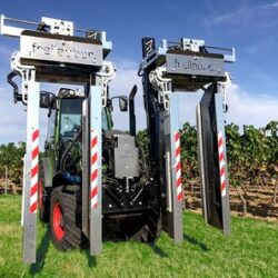 Laubschneider & Heckenschneider